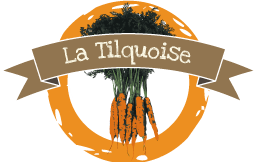La Tilquoise - Producteur de carottes à Tilques